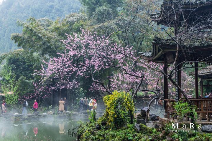 燃烧吧大脑免广告最新版